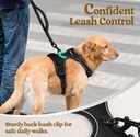 EndedEnded NEW Rabbitgoo No Pull Dog Harness Reflective Solid Black Double Clip Size