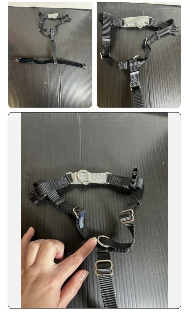 2HOUNDS DESIGN FREEDOM NO-PULL HARNESS (GRAY) SMALL 20"-24" WITH BOX (NOT USED)