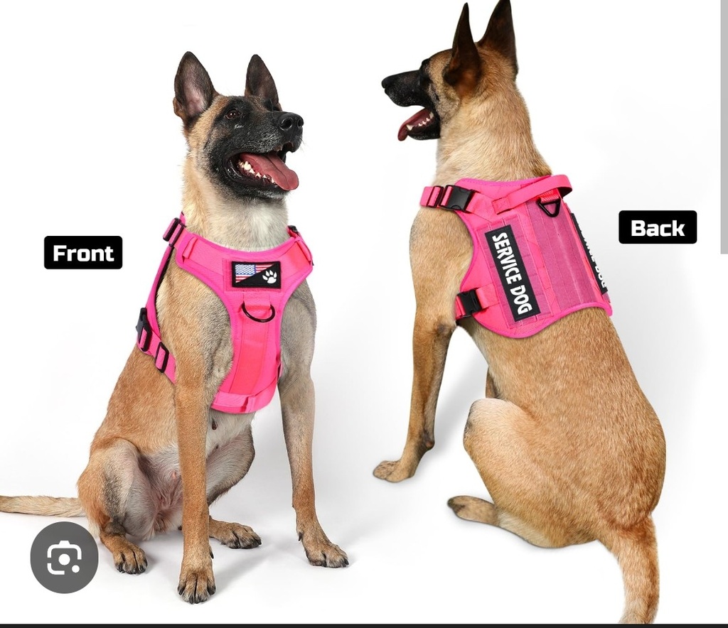 PETNANNY Tactical Dog Harness - Service Dog Harness Emotional Support Dog Vest for Medium Large Dogs, No Pull ESA Dog Vest with Hook & Loop, Working Molle Vest for Training Huntin(Orange,L)