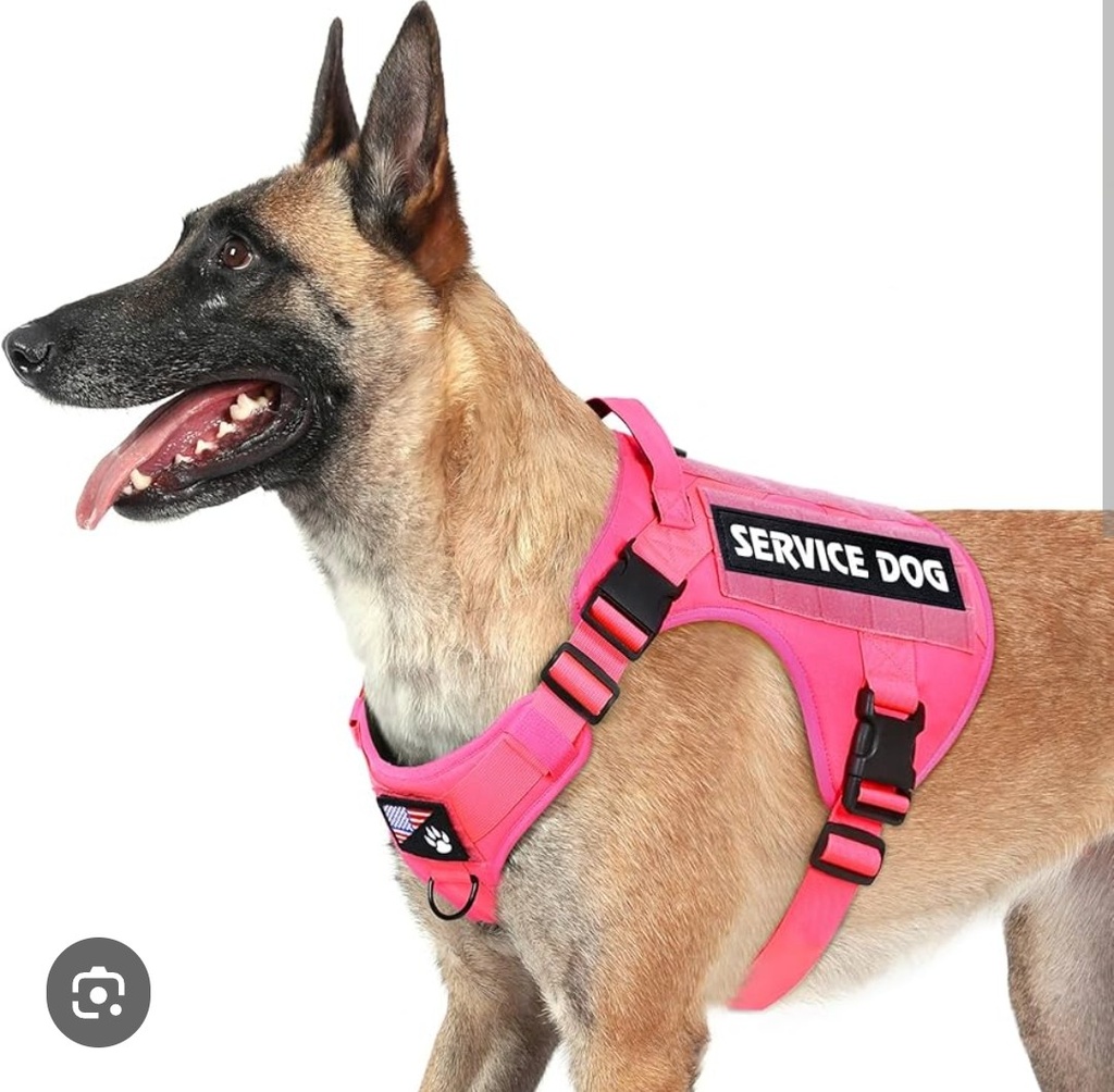 PETNANNY Tactical Dog Harness - Service Dog Harness Emotional Support Dog Vest for Medium Large Dogs, No Pull ESA Dog Vest with Hook & Loop, Working Molle Vest for Training Huntin(Orange,L)