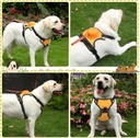 Upgrade 2 in 1 No Pull Dog Harness & Retractable Dog Leash Size M NWOTUpgrade 2 in 1 No Pull Dog Harness & Retractable Dog Leash Size M NWOT