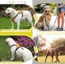 Upgrade 2 in 1 No Pull Dog Harness & Retractable Dog Leash Size M NWOTUpgrade 2 in 1 No Pull Dog Harness & Retractable Dog Leash Size M NWOT