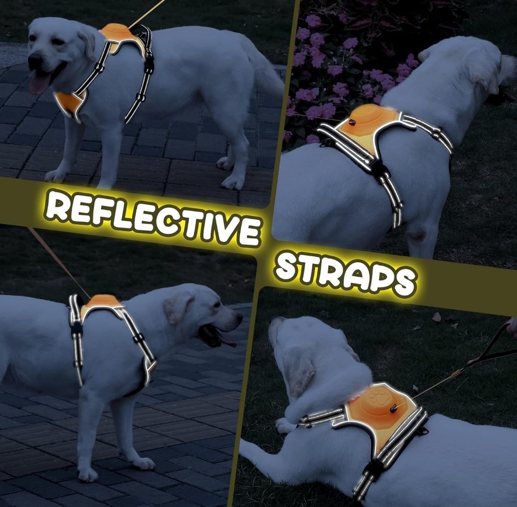 Upgrade 2 in 1 No Pull Dog Harness & Retractable Dog Leash Size M NWOTUpgrade 2 in 1 No Pull Dog Harness & Retractable Dog Leash Size M NWOT