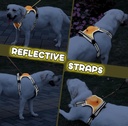 Upgrade 2 in 1 No Pull Dog Harness & Retractable Dog Leash Size M NWOTUpgrade 2 in 1 No Pull Dog Harness & Retractable Dog Leash Size M NWOT