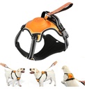 Upgrade 2 in 1 No Pull Dog Harness & Retractable Dog Leash Size M NWOTUpgrade 2 in 1 No Pull Dog Harness & Retractable Dog Leash Size M NWOT