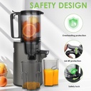 LQZ 120 Volts 350 Watts 60Hz ColdPress/ Fourth Masticating Juicer - Black