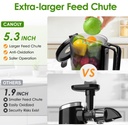 Larinest Slow Masticating Juicer Machines Cold Press Juicer Machines with 4" Wide Chute Pure Juicer Machine for Vegetables and Fruits,Reverse Function,BPA-Free,JC01,Grey