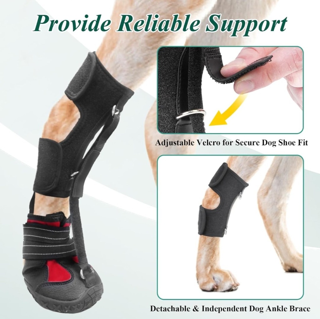 Knuckle-Free Dog Boots, Durable Dog Rear Leg Boots, Ideal for Neurological Problems, Fce, Dm, and Paw Knuckles, Front Dog Leg Splint, Support for