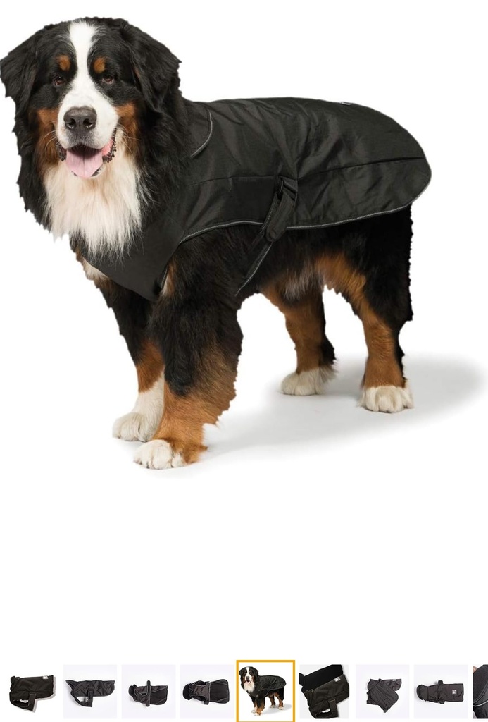 Eddie Bauer Medium Dog Jacket Fleece Lined Black Gray Coat. Used-Great Condition