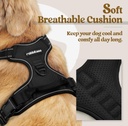 EndedEnded NEW Rabbitgoo No Pull Dog Harness Reflective Solid Black Double Clip Size