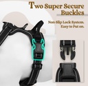 EndedEnded NEW Rabbitgoo No Pull Dog Harness Reflective Solid Black Double Clip Size