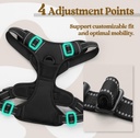 EndedEnded NEW Rabbitgoo No Pull Dog Harness Reflective Solid Black Double Clip Size