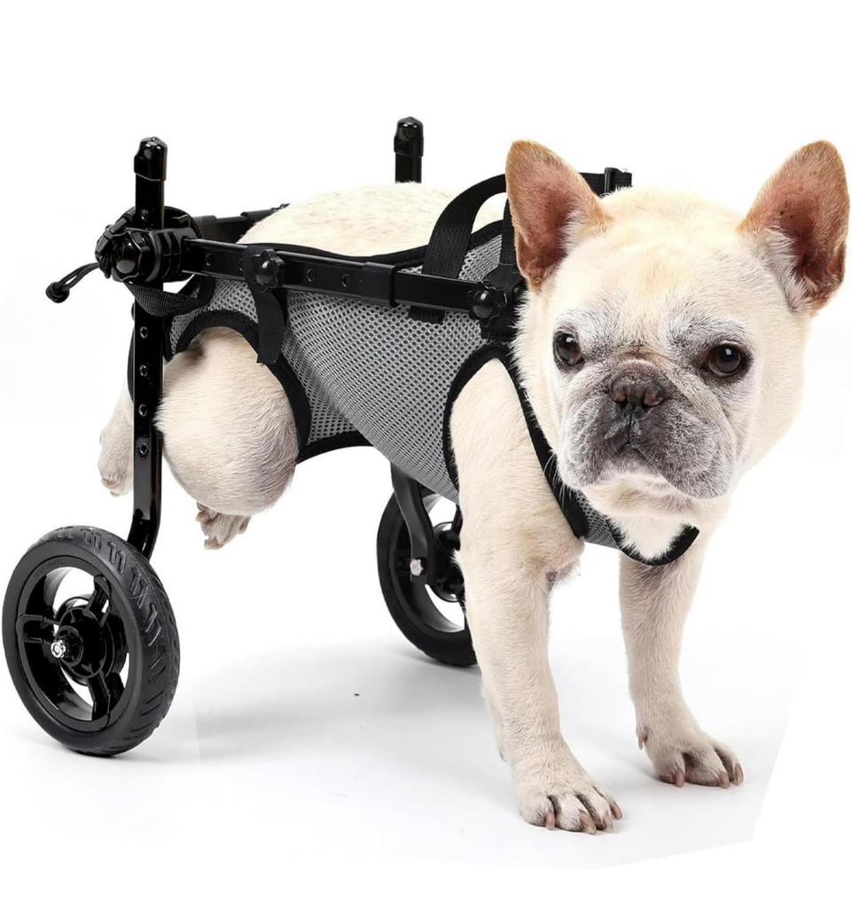 Brand: DAYGIFT Adjustable Small Dog Wheelchair for Back Legs