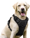 EndedEnded NEW Rabbitgoo No Pull Dog Harness Reflective Solid Black Double Clip Size