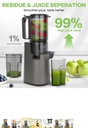 LQZ 120 Volts 350 Watts 60Hz ColdPress/ Fourth Masticating Juicer - Black