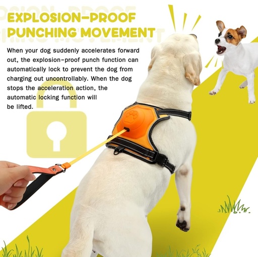 Upgrade 2 in 1 No Pull Dog Harness & Retractable Dog Leash Size M NWOTUpgrade 2 in 1 No Pull Dog Harness & Retractable Dog Leash Size M NWOT