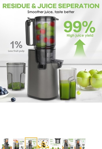 LQZ 120 Volts 350 Watts 60Hz ColdPress/ Fourth Masticating Juicer - Black