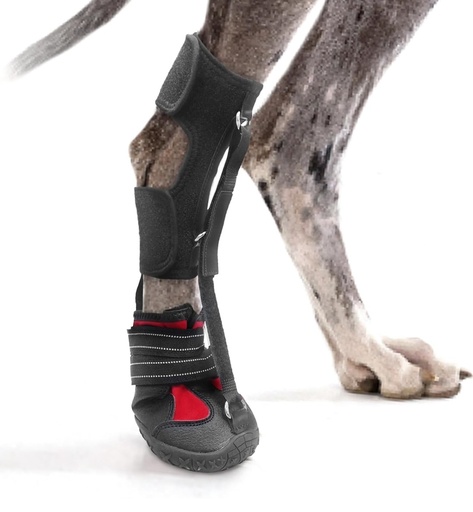 Knuckle-Free Dog Boots, Durable Dog Rear Leg Boots, Ideal for Neurological Problems, Fce, Dm, and Paw Knuckles, Front Dog Leg Splint, Support for